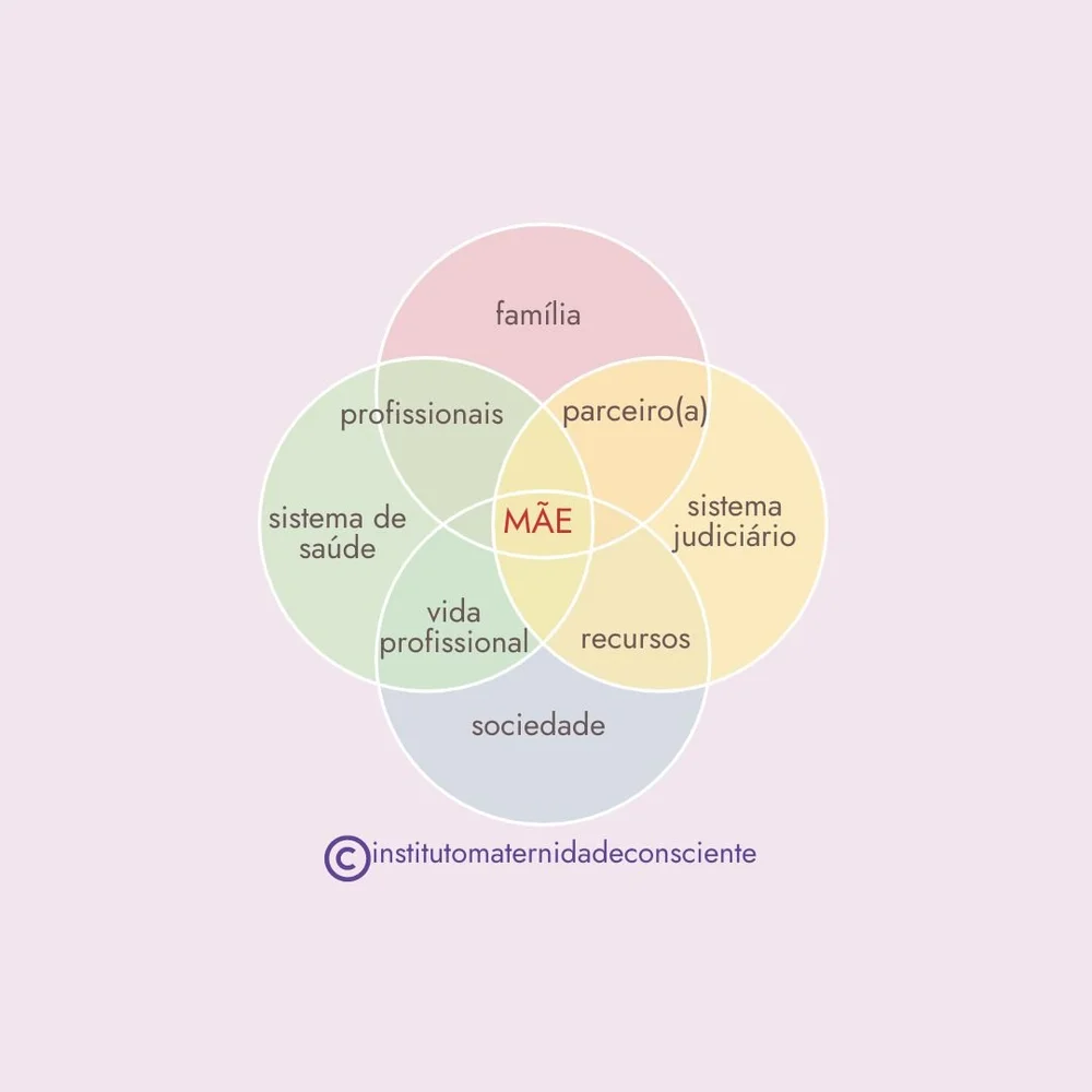 Diagrama dos sistemas que envolvem a mãe: família, profissionais, sistema de saúde, parceiro(a), sistema judiciário, recursos e sociedade